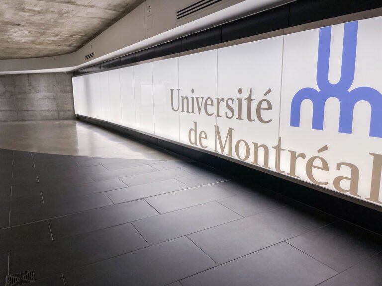 PHOTO: Amélie Philibert, University of Montreal